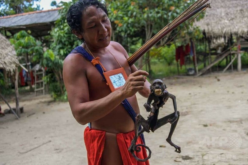 【AFP記者コラム】ワイアピ、アマゾン奥地の民