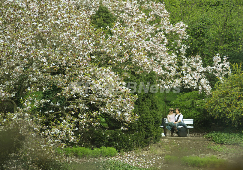 長雨後の晴れ間を楽しむ人々、ドイツ
