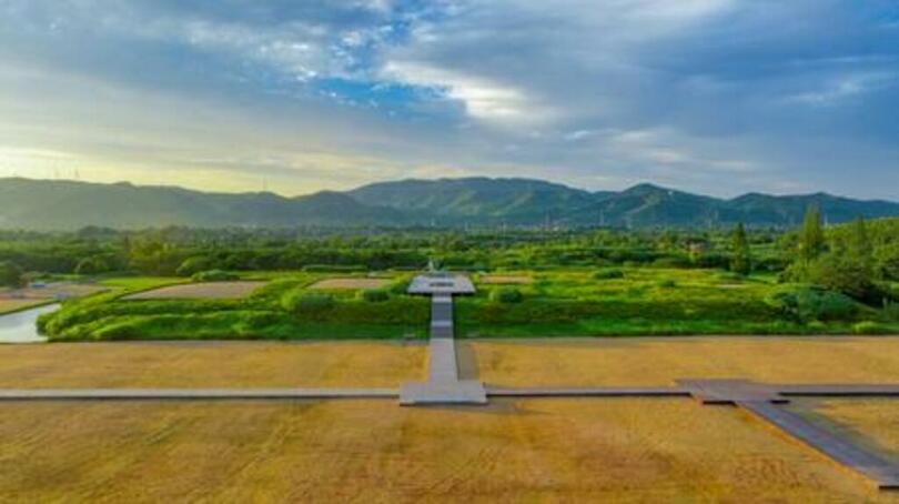 古代遺跡と現代産業が共存する場所：中国・良渚が文化と技術の革新的な融合を体現