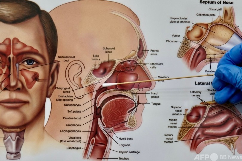コロナ急拡大の台湾、ハイテク業界の検査・ワクチン接種を強化