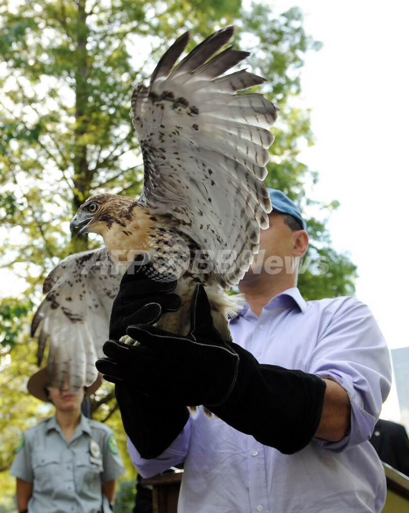 NYセントラルパークで児童ら鳥観察