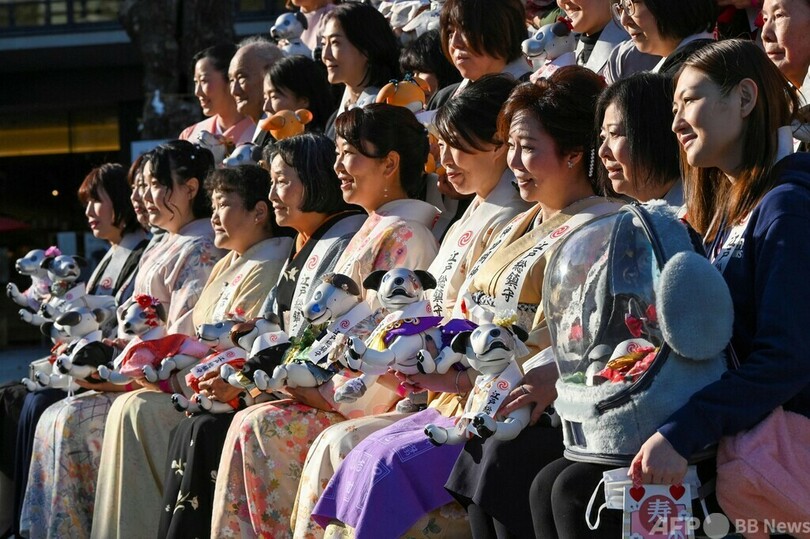 「アイボ」の健やかな成長願い七五三 神田明神
