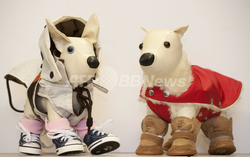 大寒波もこれで安心！愛犬用あったか衣服が大人気、ドイツ