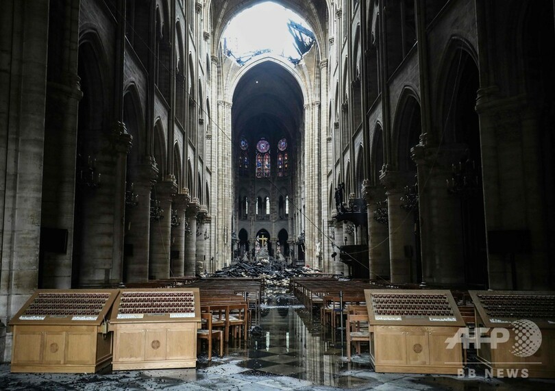 ノートルダム大聖堂のミツバチ、大火災を生き延びる