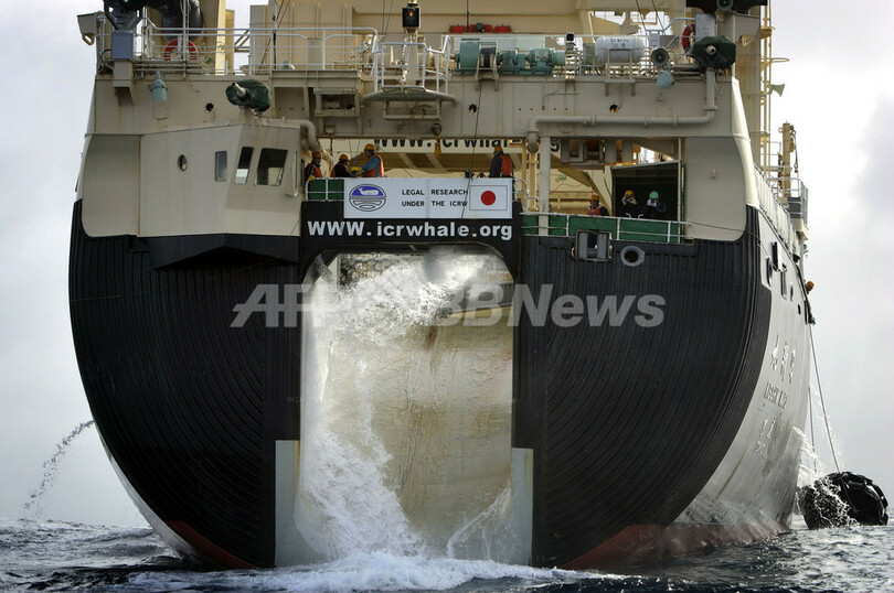 反捕鯨団体、仲間割れ？ グリーンピースがシー・シェパードへの協力拒む