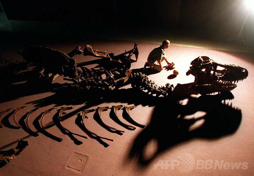 T・レックスは何色？絶滅爬虫類の皮膚色素を特定、研究