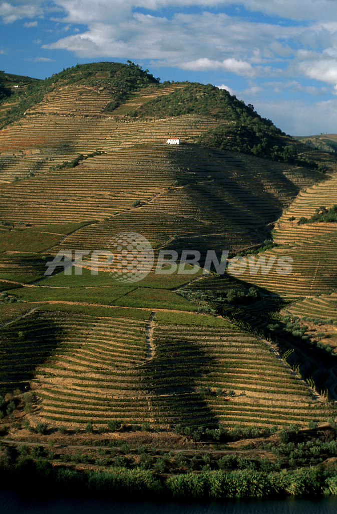 世界遺産登録のポルトガルワイン生産地