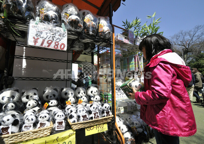 上野のパンダ、3年ぶり一般公開 3000人長蛇の列