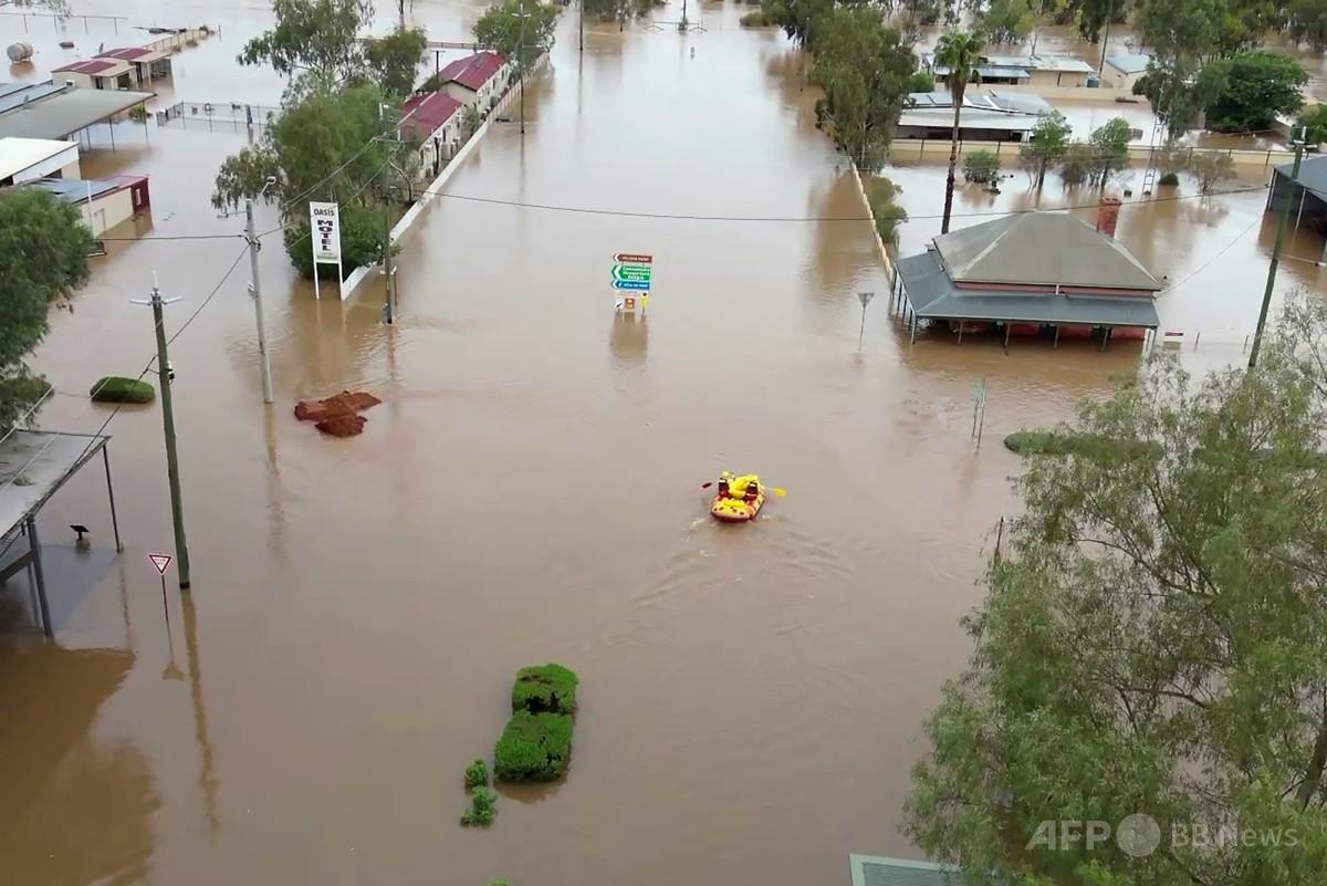 家畜10万頭超が水に流されるか水死 オーストラリアで洪水 写真6枚 国際