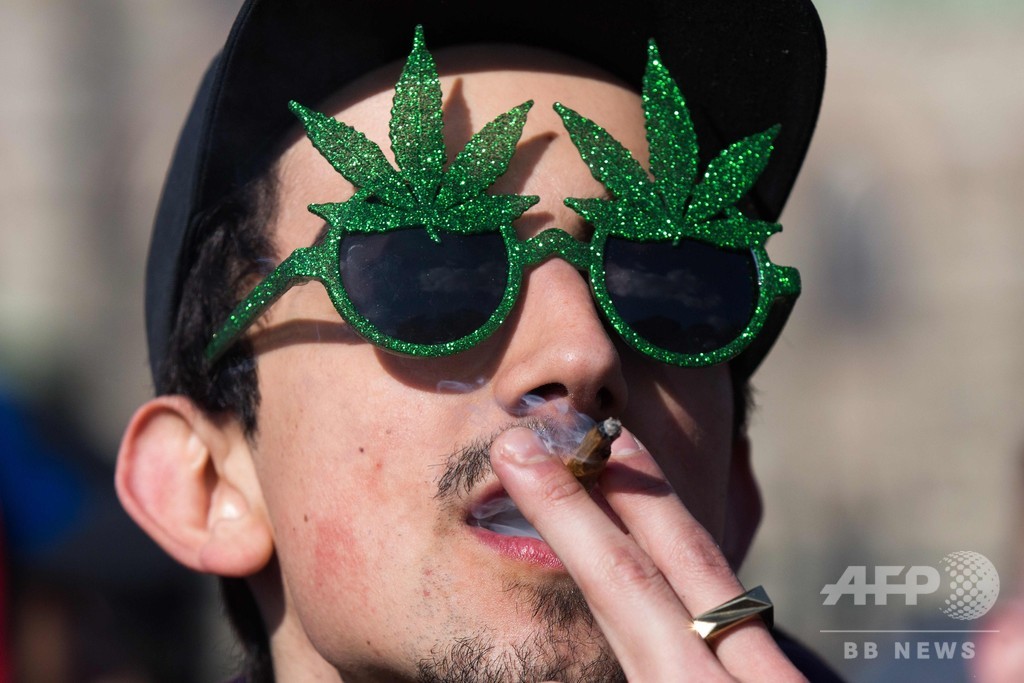 嗜好用大麻解禁控えるカナダ、国民の8割が使用の意思なし 調査 嗜好用大麻解禁控えるカナダ、国民の8割が使用の意思なし 調査
