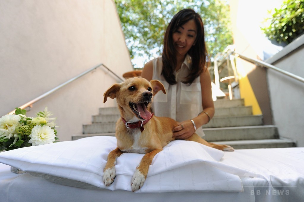 アリアナ・グランデの愛犬も登場！「コーチ」新キャンペーンイベント