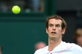 テニス、ウィンブルドン選手権（The Championships Wimbledon 2012）は6日、男子シングルス準決勝が行われ、大会第4シードのアンディ・マレー（Andy Murray、英国）は6-3、6-4、3-6、7-5で大会第5シードのジョーウィルフリード・ツォンガ（Jo-Wilfried Tsonga、フランス）を下し、英国人選手としては74年ぶりの決勝進出を果たした。

ボールを見つめるアンディ・マレー（2012年7月6日撮影）。(c)AFP/LEON NEAL