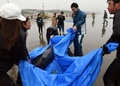 茨城県鉾田市の海岸で、打ち上げられたカズハゴンドウをシートで海へ戻そうとする地元の人たち（2015年4月10日撮影）。(c)AFP/TOSHIFUMI KITAMURA