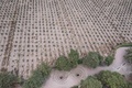 ペルー南部の砂漠地帯にあるナスカ時代の送水路（2023年5月17日撮影）。(c)Ernesto BENAVIDES / AFP