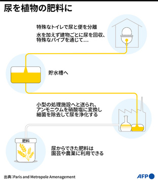 肥料による土壌汚染問題 「尿」が解決か