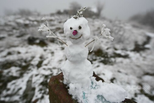 あっという間に冬景色…ドイツ西部で初雪 写真16枚 国際ニュース：AFPBB