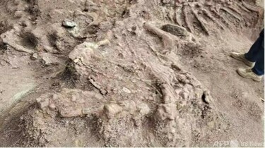 中国雲南省 恐竜化石を緊急発掘 写真1枚 国際ニュース：AFPBB News