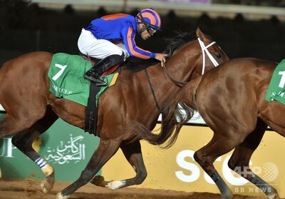 マキシマムセキュリティ調教師ら27人訴追 米競馬でドーピング 写真4枚