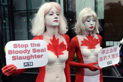 「カナダ国旗」の赤白ボディでアザラシ保護を訴え、PETA
