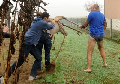 ブリーフ姿でシャベル手に激高 愛鳥家撃退の仏男性、ネットで話題