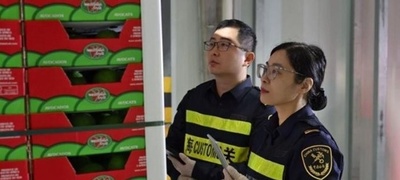 南アフリカ産アボカド、全国初の輸入 上海洋山港に到着