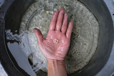 日本との競争に敗れ衰退、「東洋の真珠」復活を目指す香港