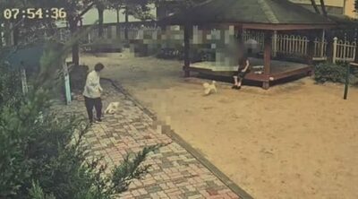 韓国・高齢女性がマルチーズに3度かまれるも…飼い主「本当にうちの犬なのか」で謝罪なし