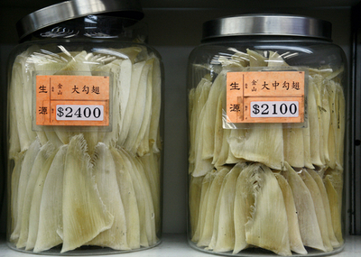 香港、「フカヒレ」の街