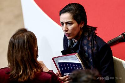 子ども模した「ラブドール」販売の疑い、英国のネット通販サイトを捜査 仏