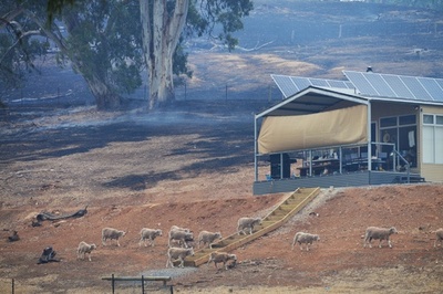 14年はオーストラリア史上3番目の暑さ、森林火災シーズン早まる