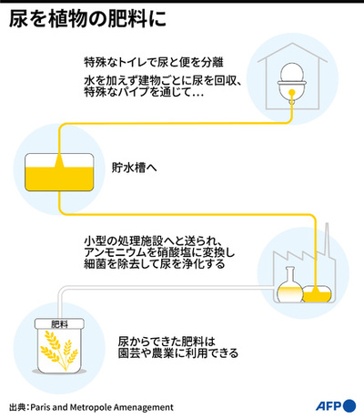 肥料による土壌汚染問題 「尿」が解決か
