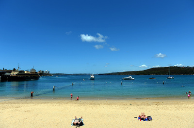 ペットの犬、サメに連れ去られる 豪シドニーの人気ビーチ