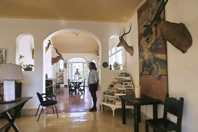 ヘミングウェー関連の資料2000点、キューバ博物館が米に提供