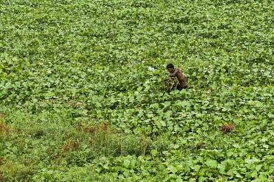 【特集】AFPのベストショット：6月22日～28日