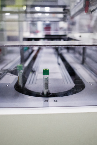 「ワクチン完成の為に奮闘する世界」