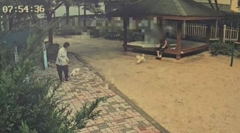 オンラインコミュニティ「ボベドリーム」(c)news1