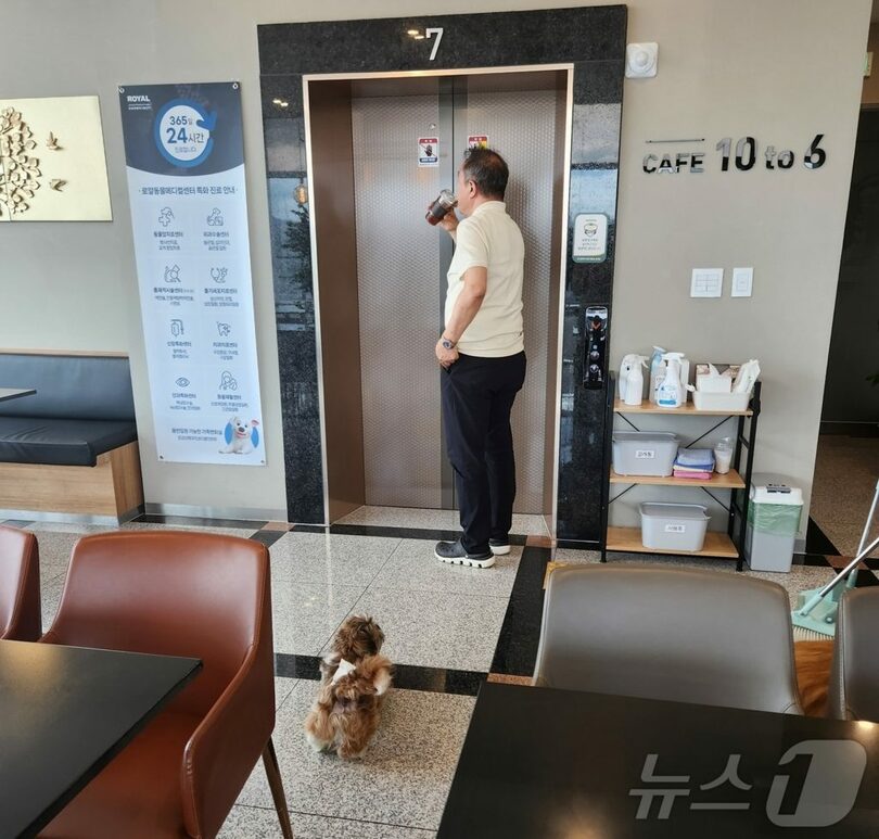 動物病院でエレベーターを待つ犬「セミ」＝動物病院提供(c)news1