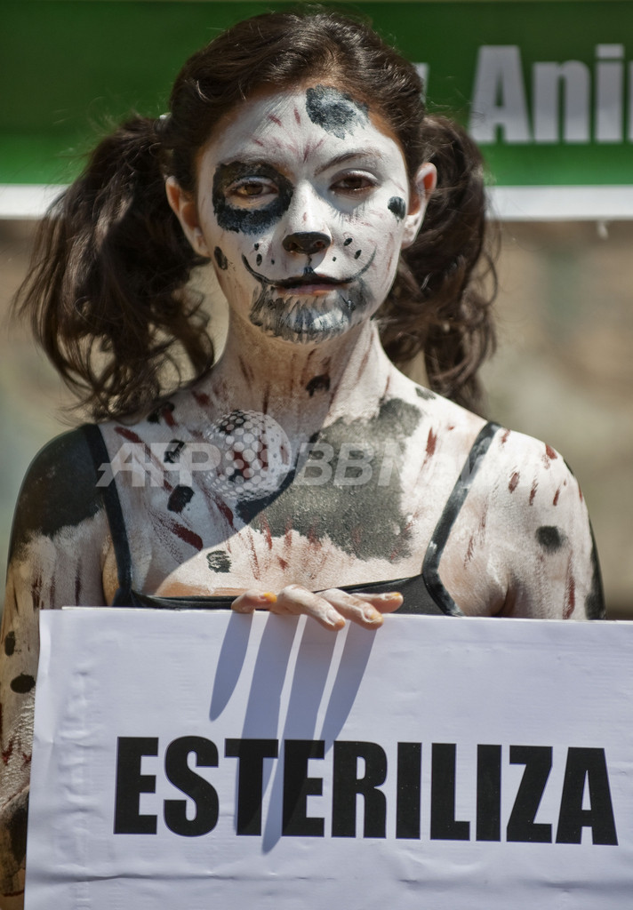 動物保護団体「アニマ・ナチュラリス」、野良犬の感電処分に抗議 メキシコ