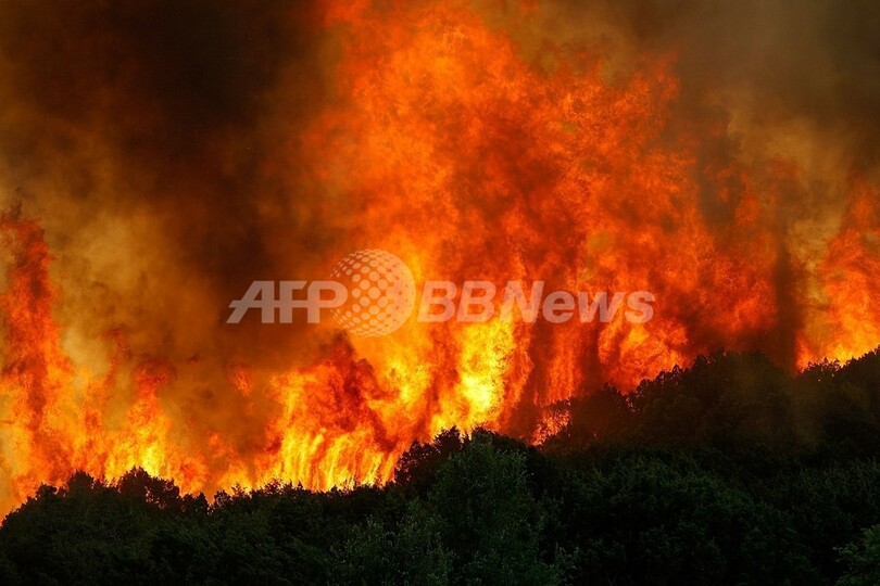 米テキサス州で大規模な山火事