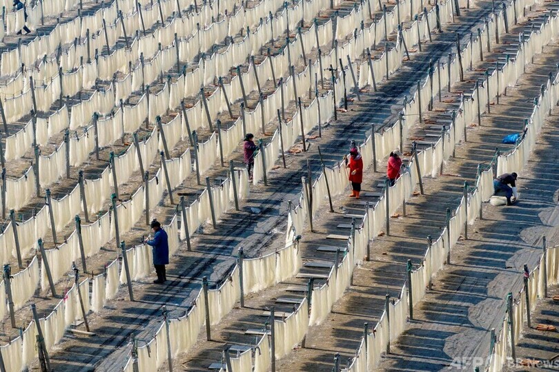 【今日の1枚】辺り一面、麺だらけ 中国