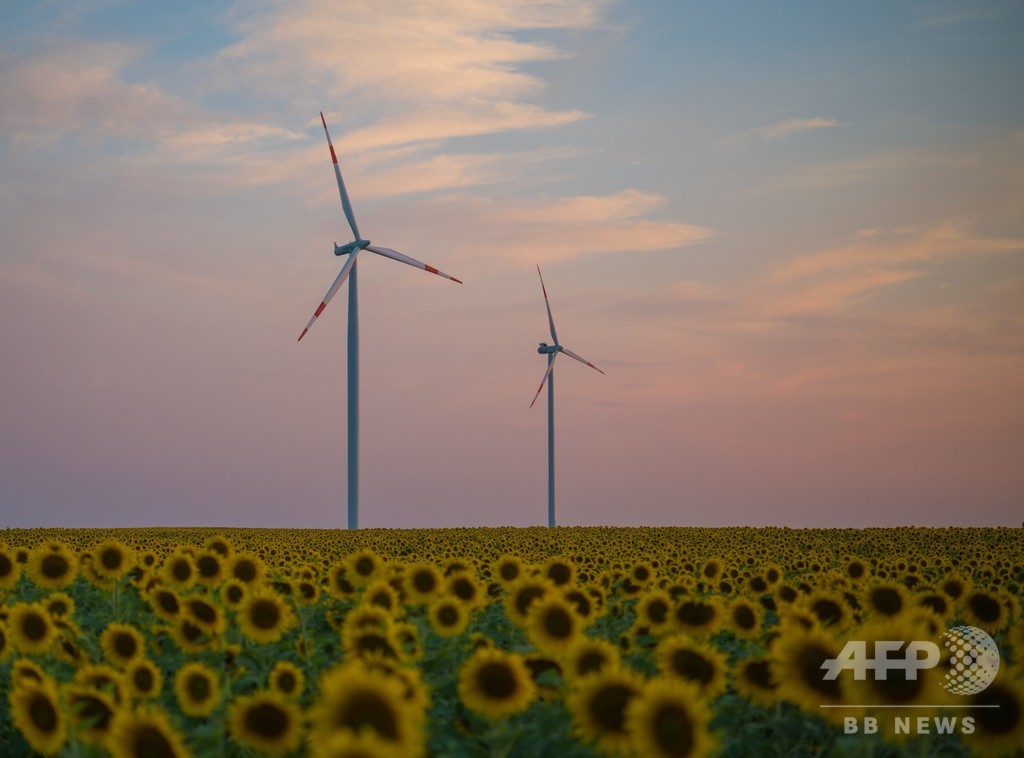 EU、再生エネが最大の発電源に 化石燃料上回る EU、再生エネが最大の発電源に 化石燃料上回る