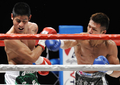 内山 12回TKO勝ちで王座奪取 写真5枚 国際ニュース：AFPBB News