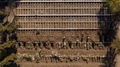 チリの首都サンティアゴの共同墓地で墓穴を掘る作業員ら（2020年5月14日撮影）。(c)MARTIN BERNETTI / AFP