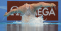 第15回世界水泳選手権（15th FINA World Championships）は24日、スペイン・バルセロナ（Barcelona）でシンクロナイズドスイミングのソロフリールーティン（FR）決勝が行われ、ロシアのスベトラナ・ロマシナ（Svetlana Romashina）が優勝した。

2位には中国の黄雪辰（Huang Xuechen）、3位にはスペインのオナ・カルボネール・バレステロ（Ona Carbonell Ballestero）が入った。

ソロFR決勝の演技に臨むスベトラナ・ロマシナ（2013年7月24日撮影）。(c)AFP/JAVIER SORIANO