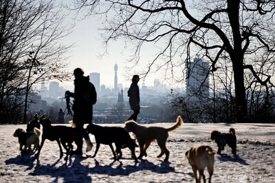 コロナ禍の英国 癒やし需要に付け込む 犬泥棒 激増 写真3枚 国際ニュース Afpbb News