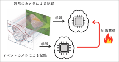 【立教大学】Eventカメラからの知識蒸留で、AIに「形を見る力」を与える ～ AI 研究の世界最高峰、国際会議「NeurIPS 2026」に論文採択 ～