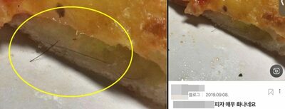 「ピザに髪の毛」と払い戻し求めた韓国の客がギャフン…ネットユーザーが暴いた「それは4年前のネット上の写真」