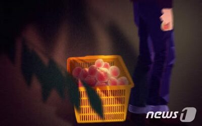 「リンゴがなぜこんなに高い」ナイフ手に暴れる…韓国の男性に懲役1年