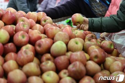 息子には高級フルーツ、嫁には腐った果物…韓国・新婚2年目女性、義母への怒りが爆発