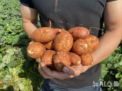 「ストレス」ソウルから「豊かな」農村へ…韓国で増える「新たなライフスタイル求める」若者
